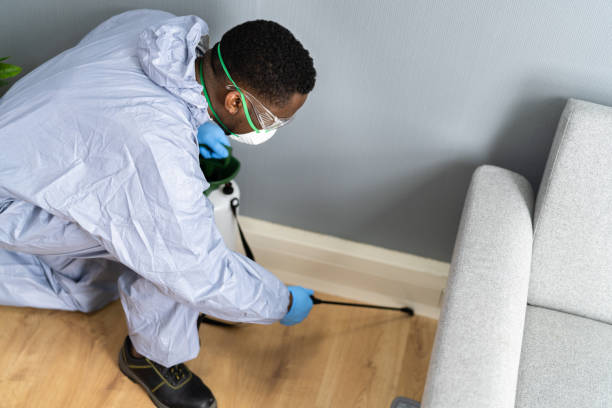 Best Residential Pest Control  in Alsip, IL